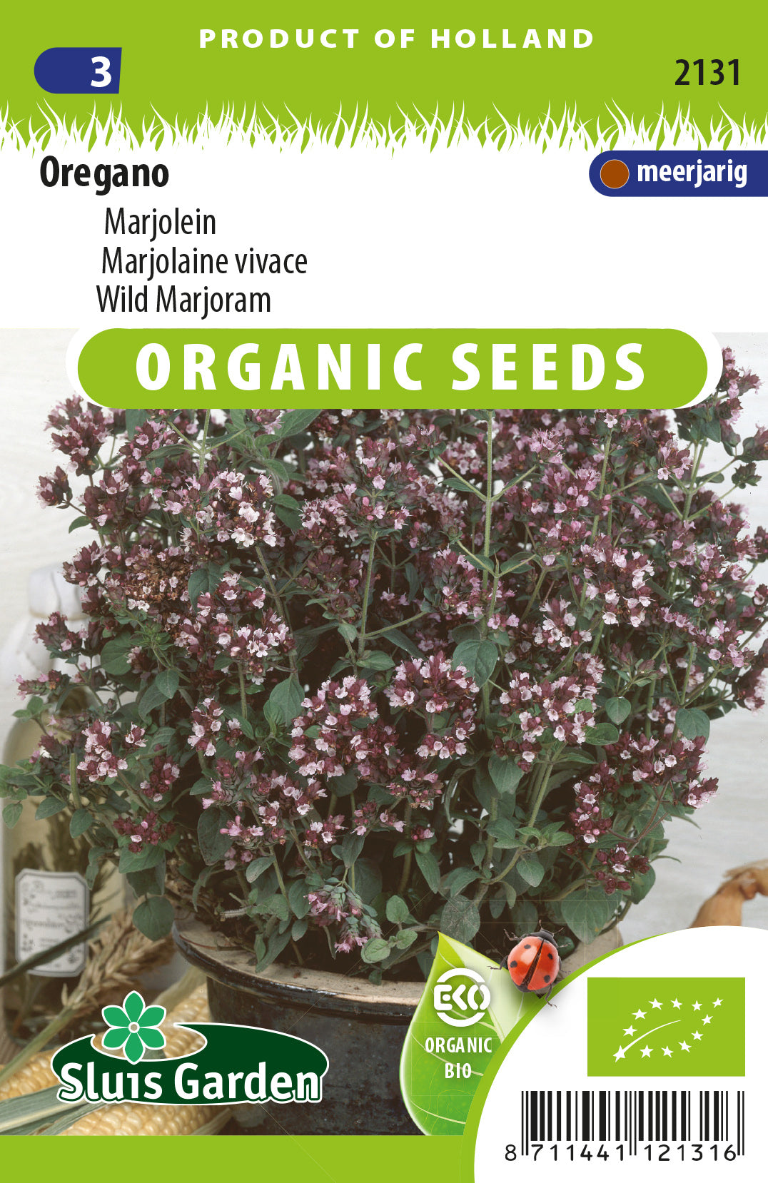 Oregano / Marjolein BIO