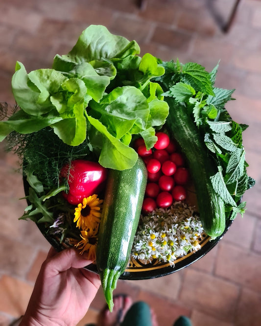 De oogst van de zomer: van moestuin naar een goed gevulde pantry 🌿