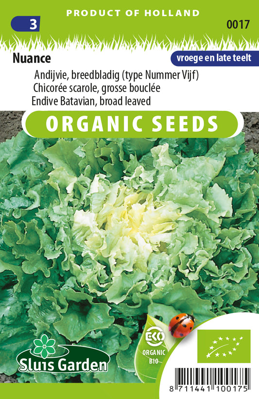 Andijvie breedblad, Nuance BIO