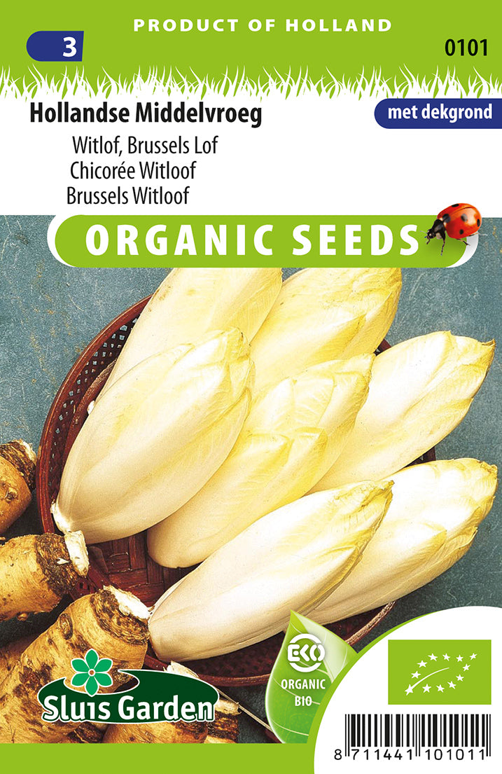 Hollande witlof middelvroeg BIO