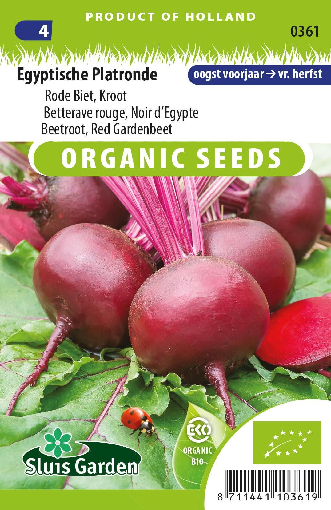 Rode biet Egyptische platronde BIO