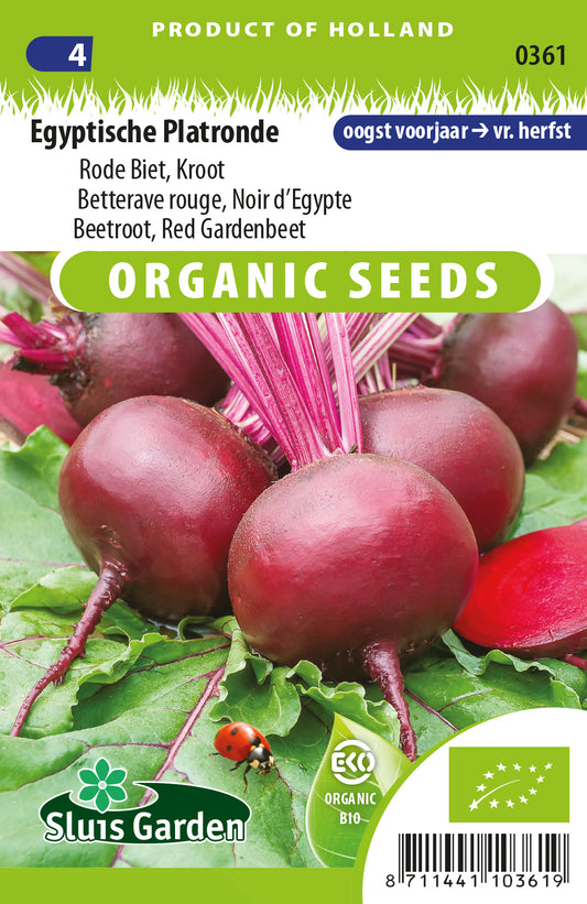 Rode biet Egyptische platronde BIO