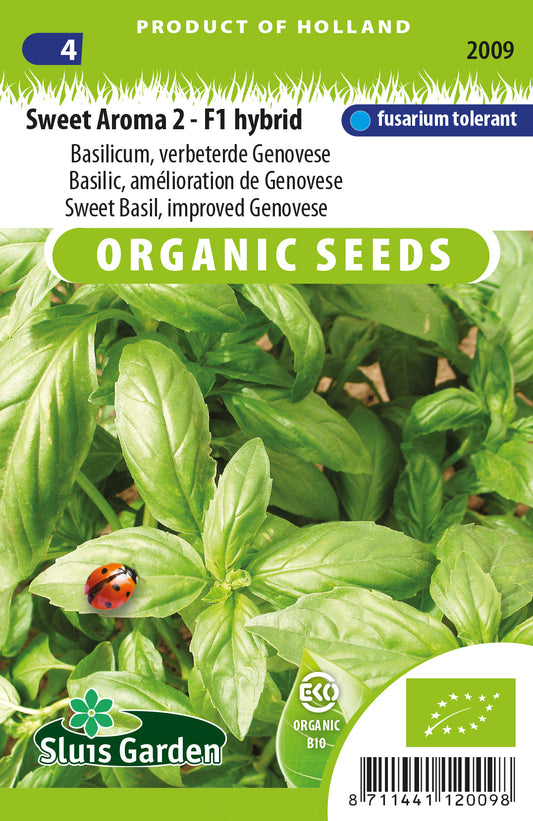 Basilicum genoveser - gustosa BIO