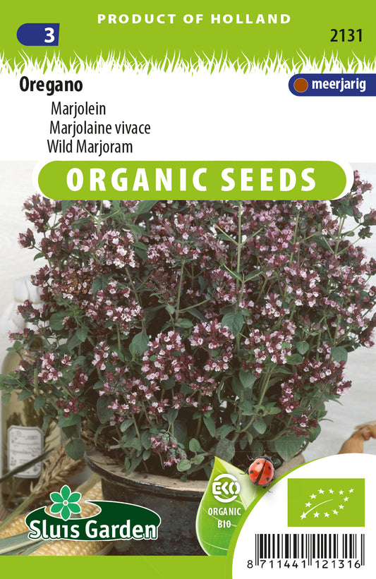 Oregano / Marjolein BIO