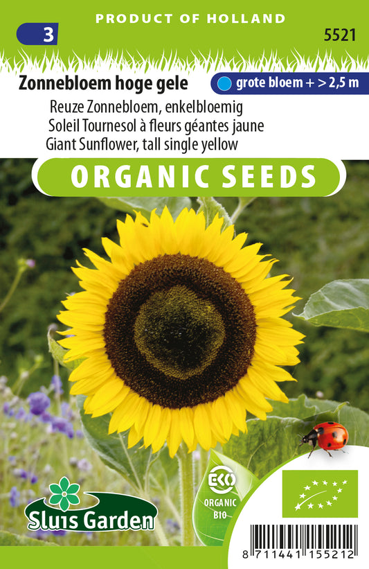 Helianthus annuus Giganteus Hoge Gele BIO Zaden – Biologische Zonnebloem voor Moestuin – ca. 5 g – Sluis Garden
