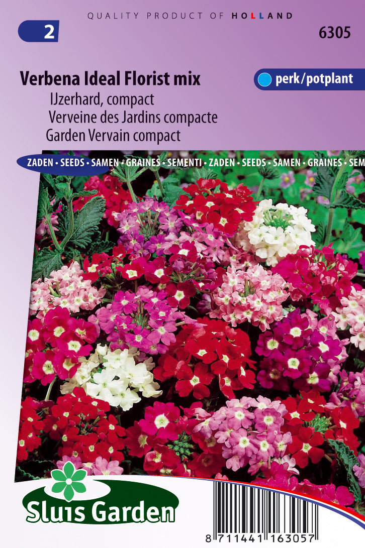 Verbena Hybrida Ideal Florist Mixed Zaden – Sierplant voor Moestuin en Borders – ca. 0,5 g – Sluis Garden
