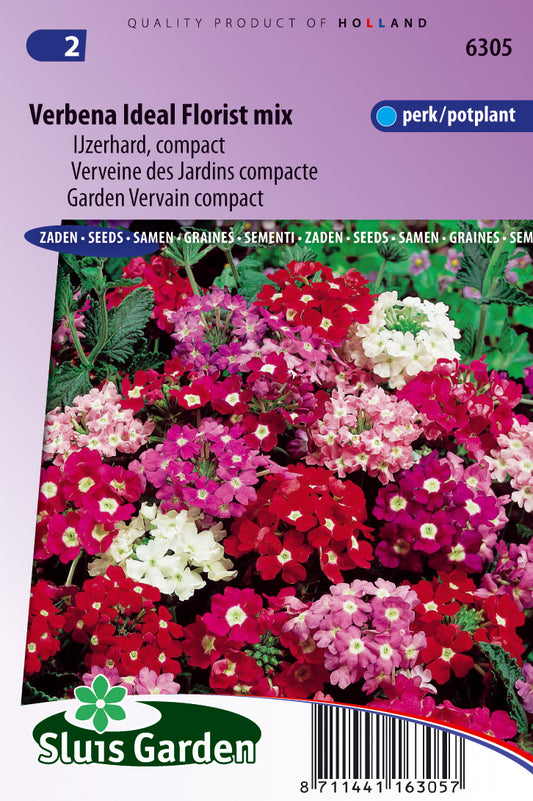Verbena Hybrida Ideal Florist Mixed Zaden – Sierplant voor Moestuin en Borders – ca. 0,5 g – Sluis Garden