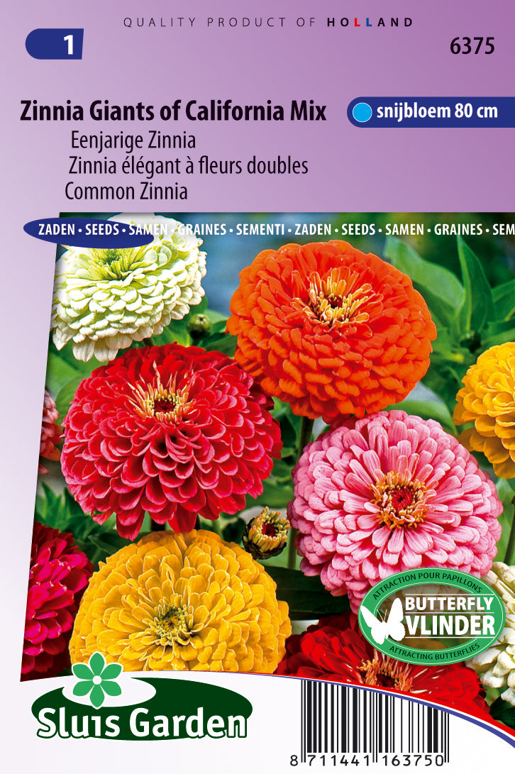 Zinnia Elegans Giants of California Mix Zaden – Sierbloem voor Moestuin en Borders – ca. 1 g – Sluis Garden