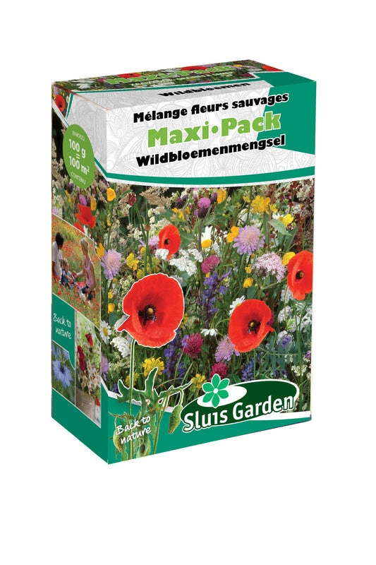 Wildbloemenmengsel Maxi Pack 125 g Zaden – Rijkbloeiende Sier- en Bijenbloemen voor Moestuin, Borders en Weides – Sluis Garden