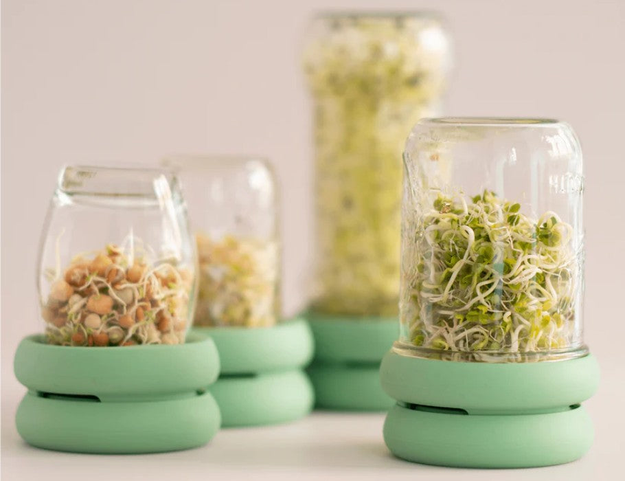 Sprout Huggers Kiemdeksel Sage Green – Kweek Eenvoudig Je Eigen Kiemgroenten