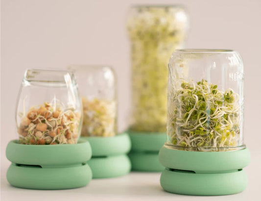 Sprout Huggers Kiemdeksel Sage Green – Kweek Eenvoudig Je Eigen Kiemgroenten