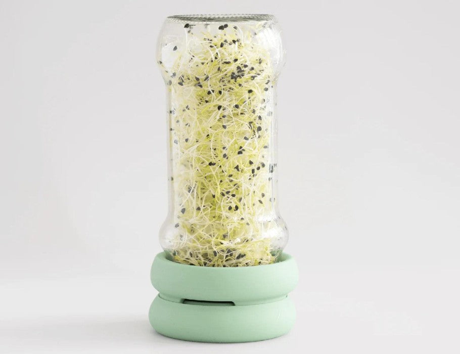 Sprout Huggers Kiemdeksel Sage Green – Kweek Eenvoudig Je Eigen Kiemgroenten